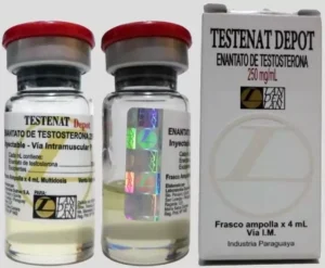 Testenat (enantato de testo) (250mg 4ml/1ml) Landerlan